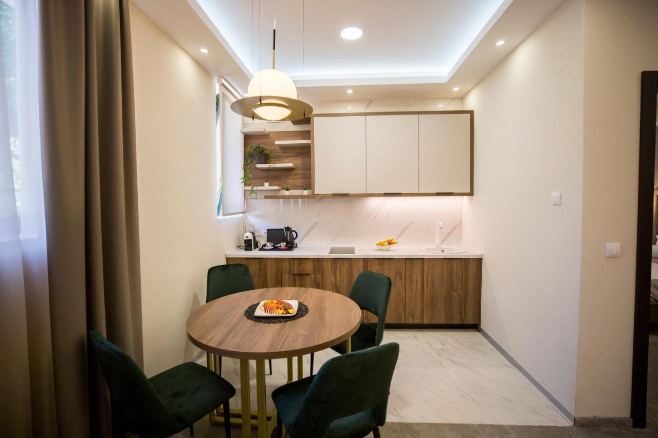 Vs Apartmani Vrnjačka Banja Buitenkant foto